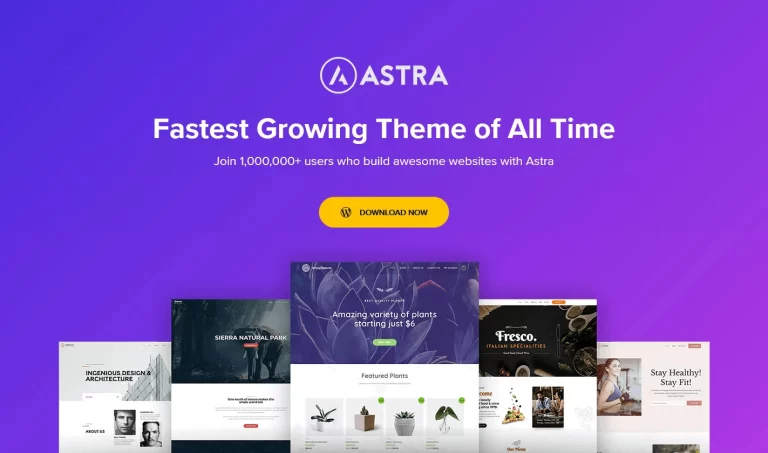 Astra Pro Addon v4.6.8 – Perfect Theme For Any Website